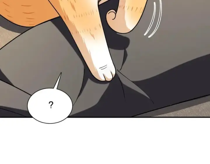 《我家老婆来自一千年前》194图115