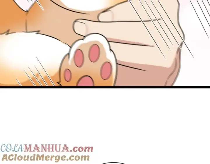 《我家老婆来自一千年前》241图121