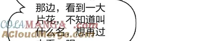 《我家老婆来自一千年前》324图137