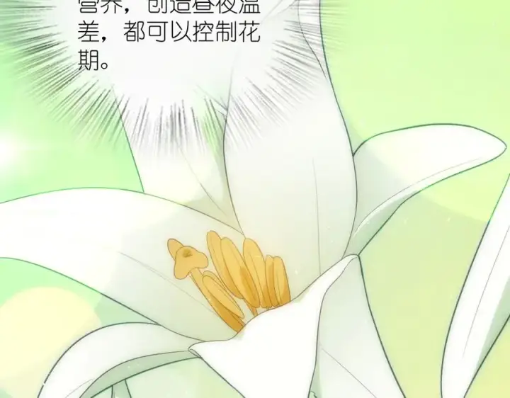 《我家老婆来自一千年前》324图74