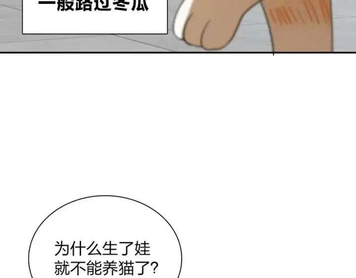 《我家老婆来自一千年前》343图100