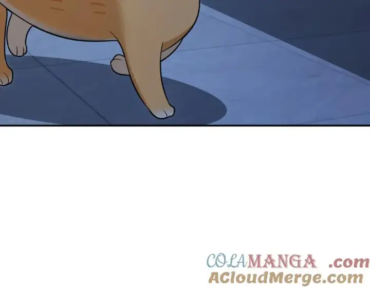 《我家老婆来自一千年前》362图125