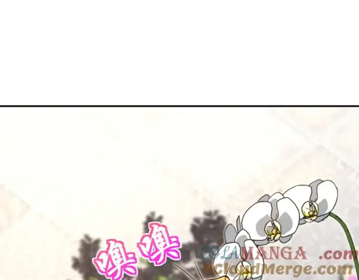 《我家老婆来自一千年前》380图81