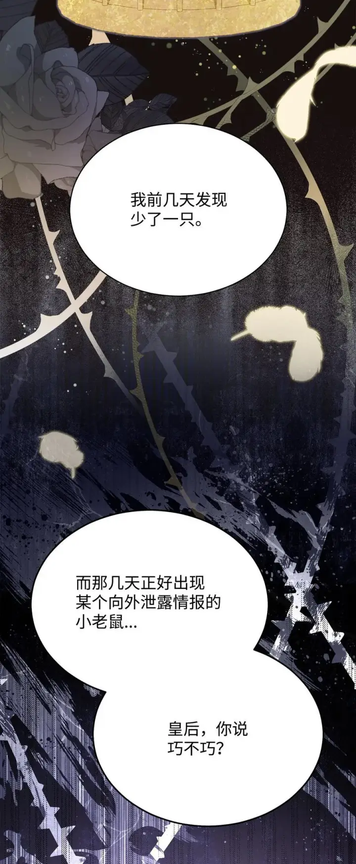 《我来负责男主的福利》79 赴死的玫瑰图42