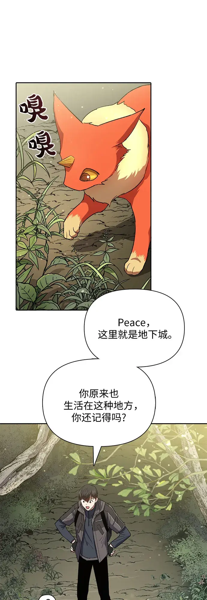 《我培养的s级们》第52话 需要交流图33