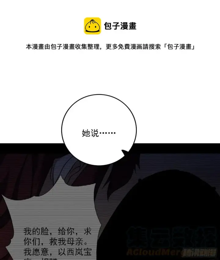 《我为邪帝》西岚宝库图41