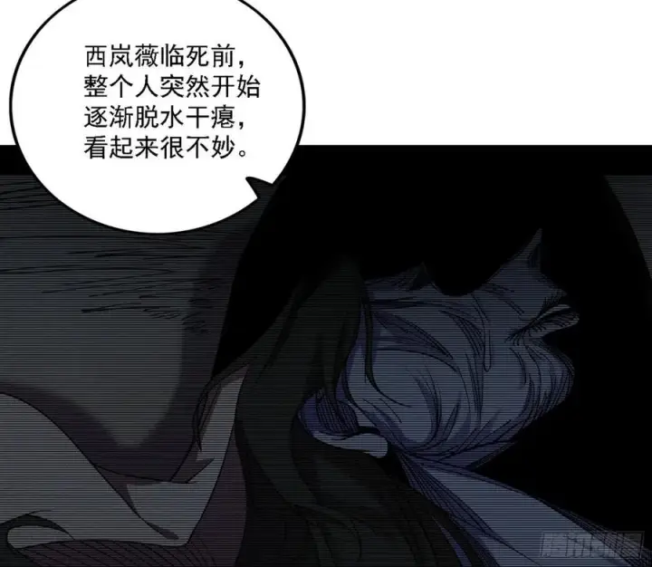 《我为邪帝》西岚宝库图52