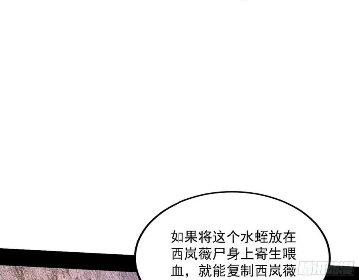 《我为邪帝》西岚宝库图72