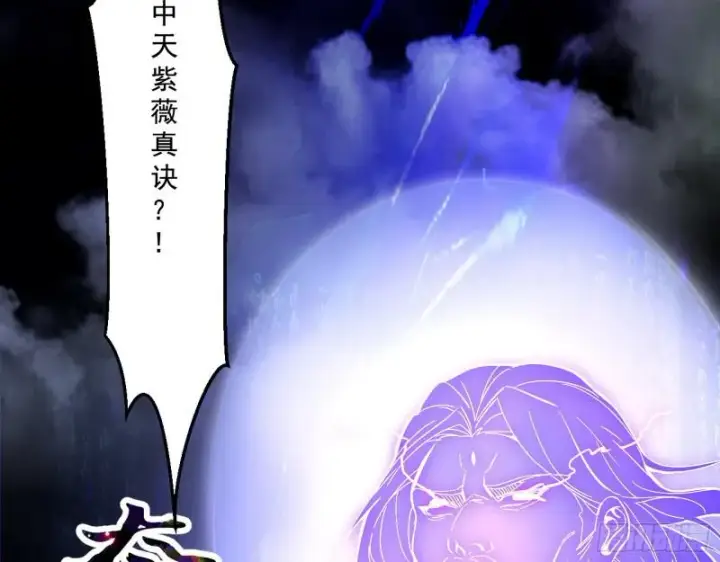 《我为邪帝》中天紫薇真诀图19