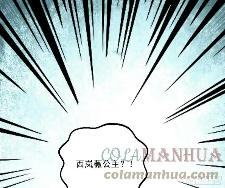 《我为邪帝》西岚公主西岚薇图13