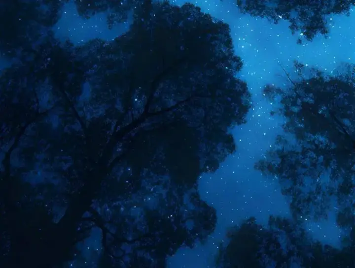 《我为邪帝》第493话 天大地大，系统最大图111