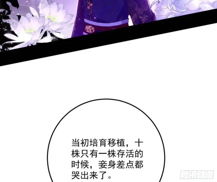 《我为邪帝》域外诸天真相和练绮罗的约会图86