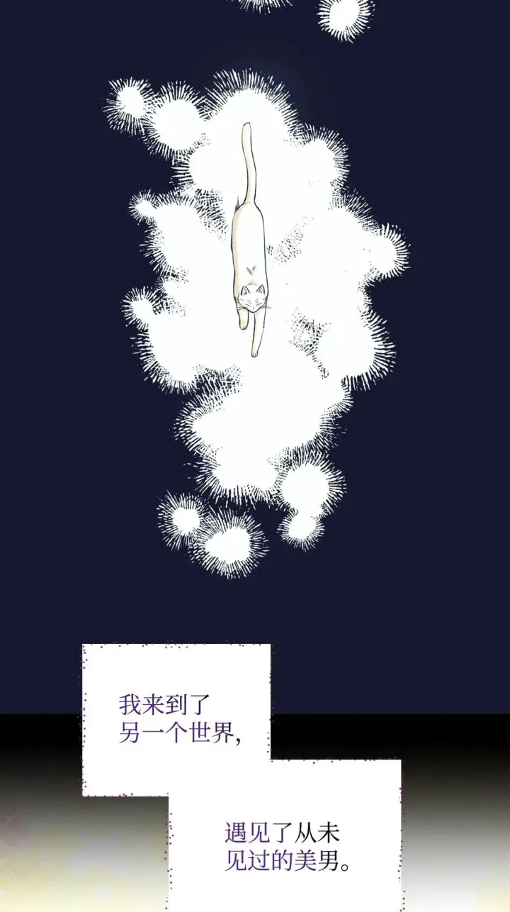 《我要成为这监禁游戏的女主》28 皇帝的爱人图62