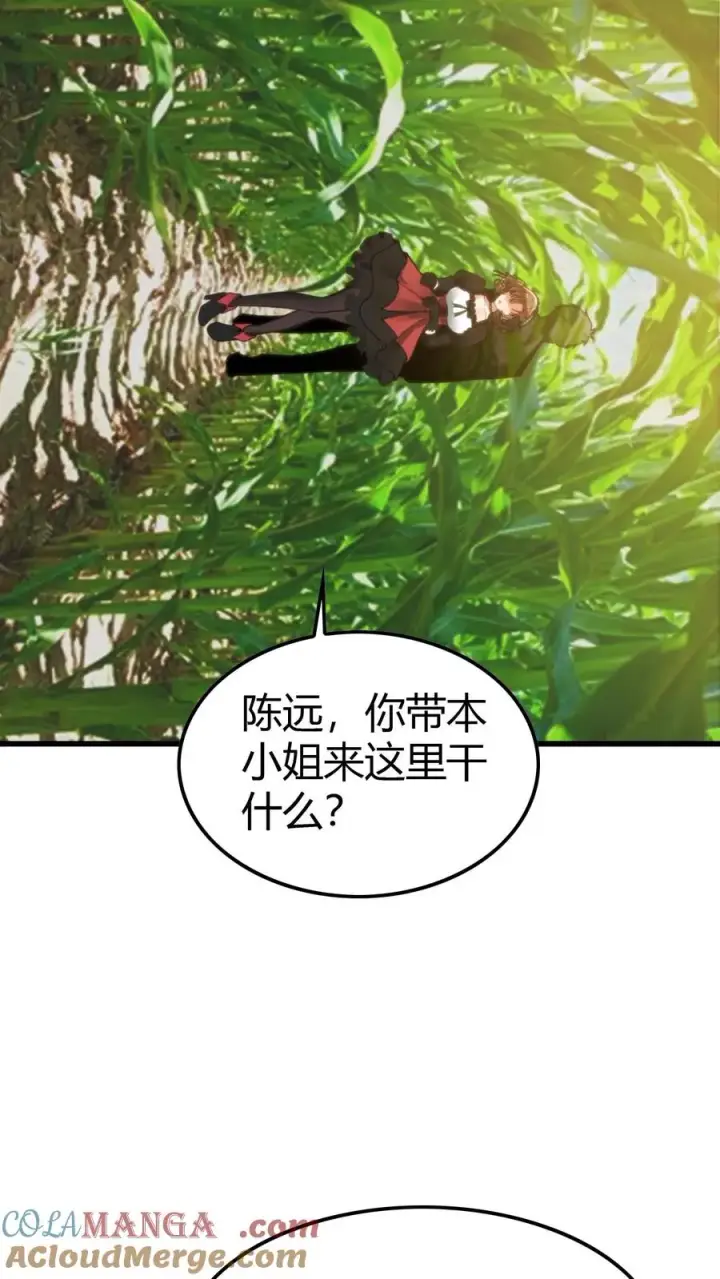 《我有九千万亿舔狗金》第150话 老陈家关系真乱！图13