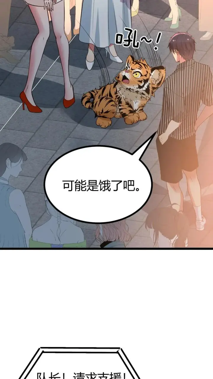 《我有九千万亿舔狗金》第522话 小老虎！！图26