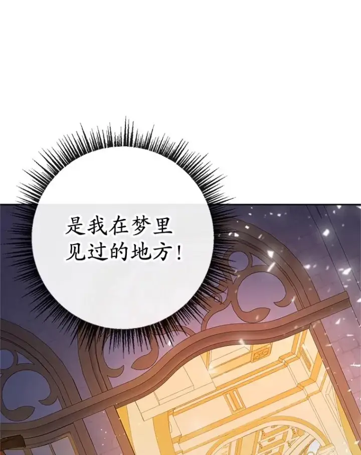 《我在恶魔家的受宠生活》43.被绑架图17