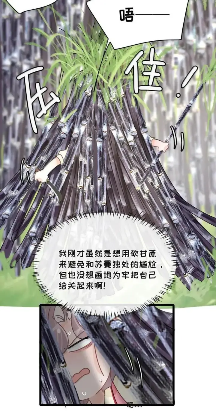 《我在恋综被影后后妈强制爱了》075 我对你的喜欢，从来都不是一时兴起。图11