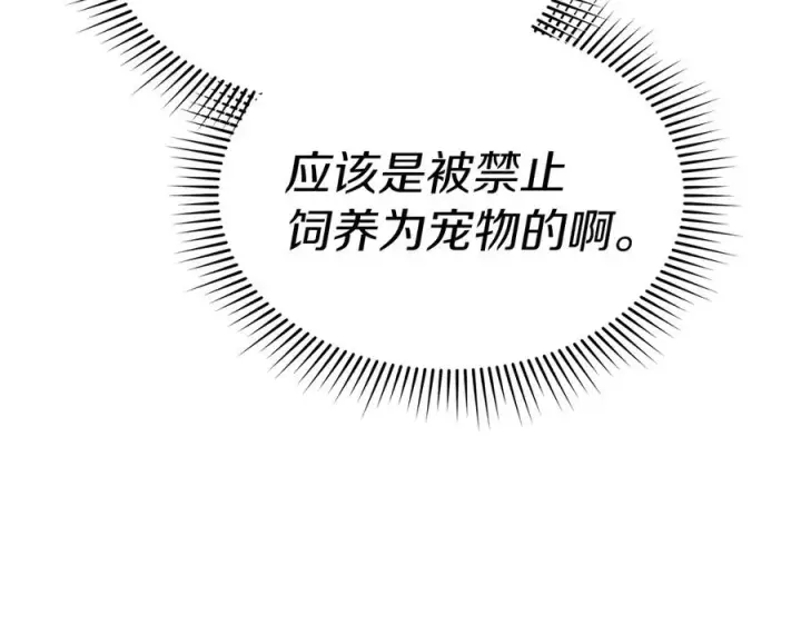 《我在死敌家当团宠》第77话 牵着你的手图108