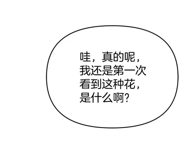 《我在死敌家当团宠》第102话 神奇的花图188