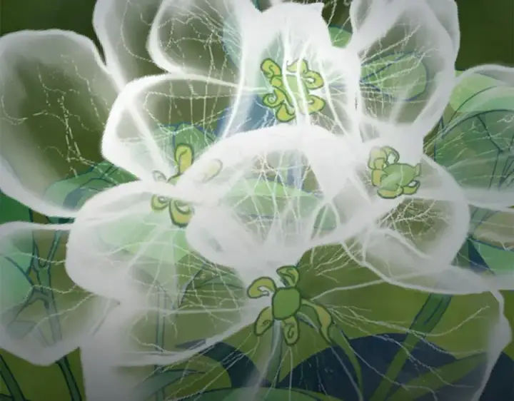 《我在死敌家当团宠》第102话 神奇的花图192