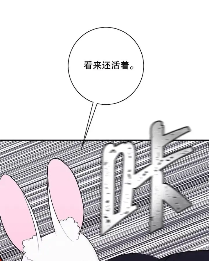 《我在小说里当无赖》36.兔子图75