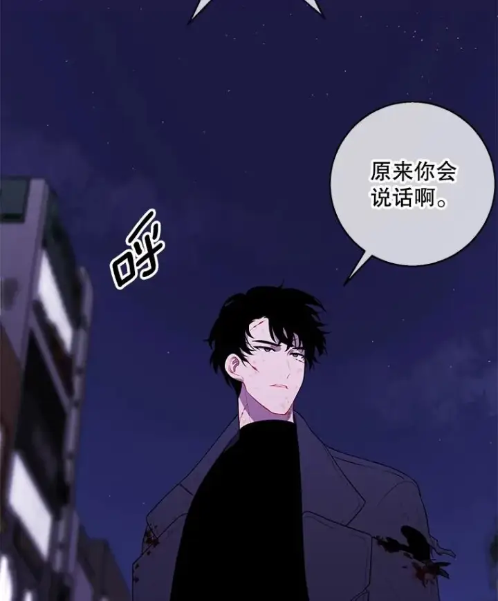《我在小说里当无赖》44.邀请图66