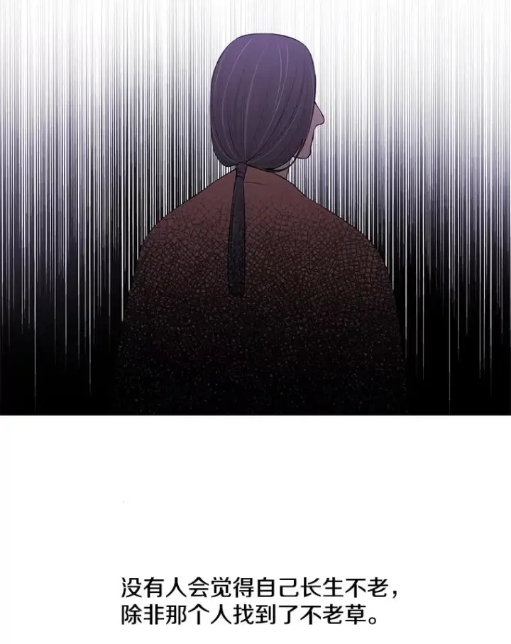 《我在小说里当无赖》47.深灰手镯图2