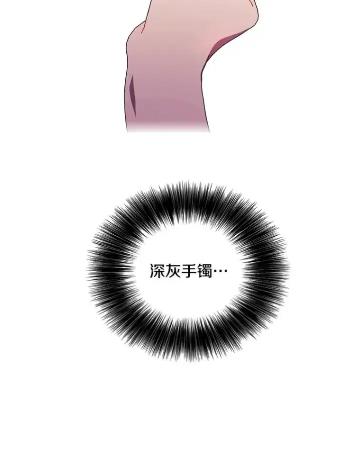 《我在小说里当无赖》47.深灰手镯图27