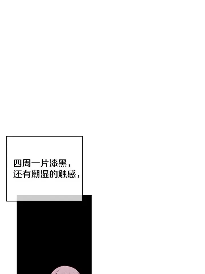 《我在小说里当无赖》53.抓贼图24