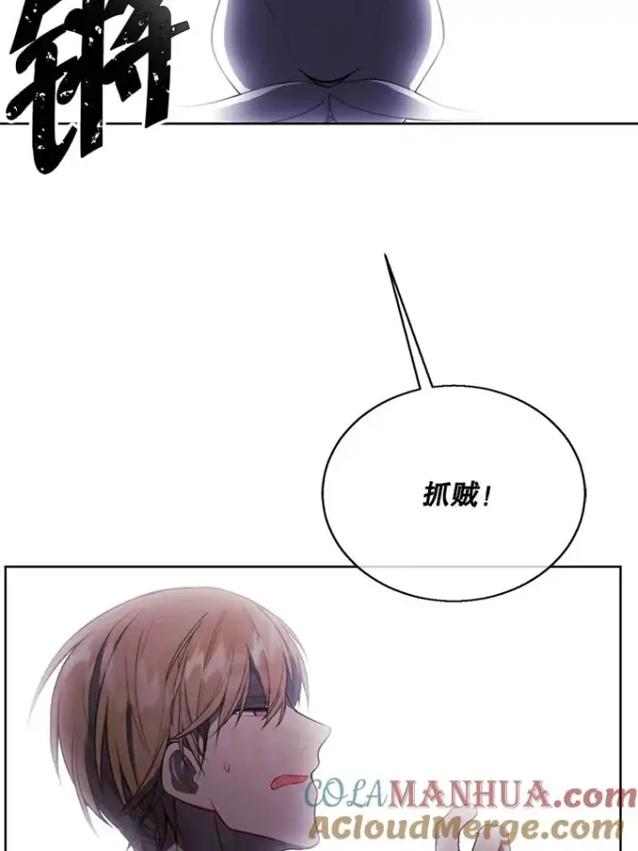 《我在小说里当无赖》53.抓贼图40