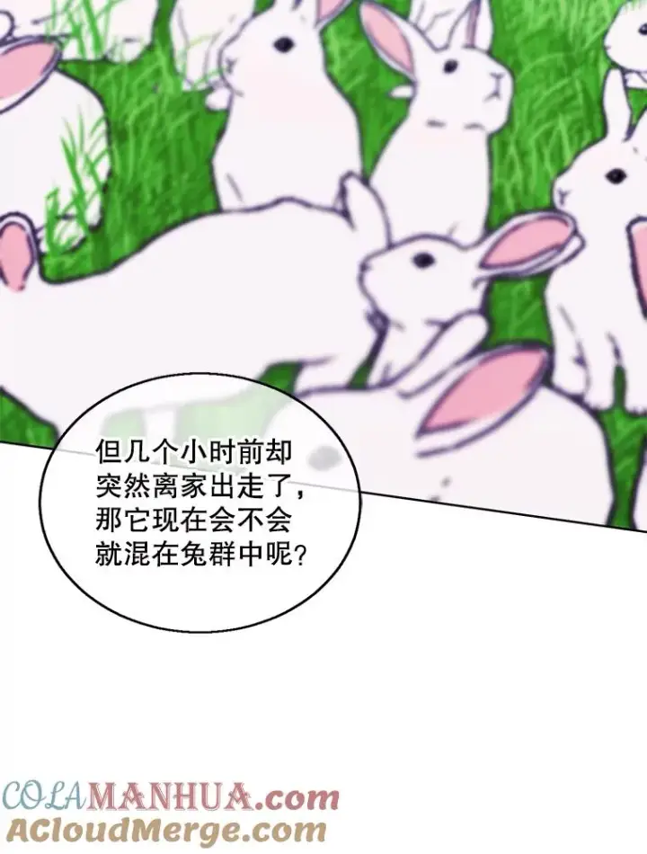 《我在小说里当无赖》55.离家出走的兔子图97