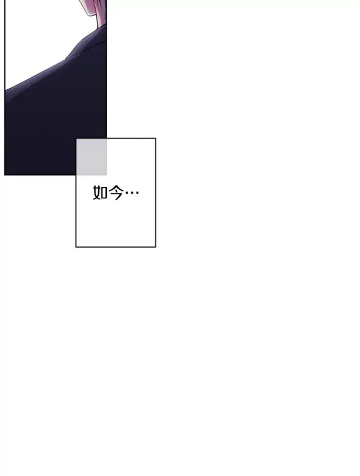 《我在小说里当无赖》71.日蚀公会图86