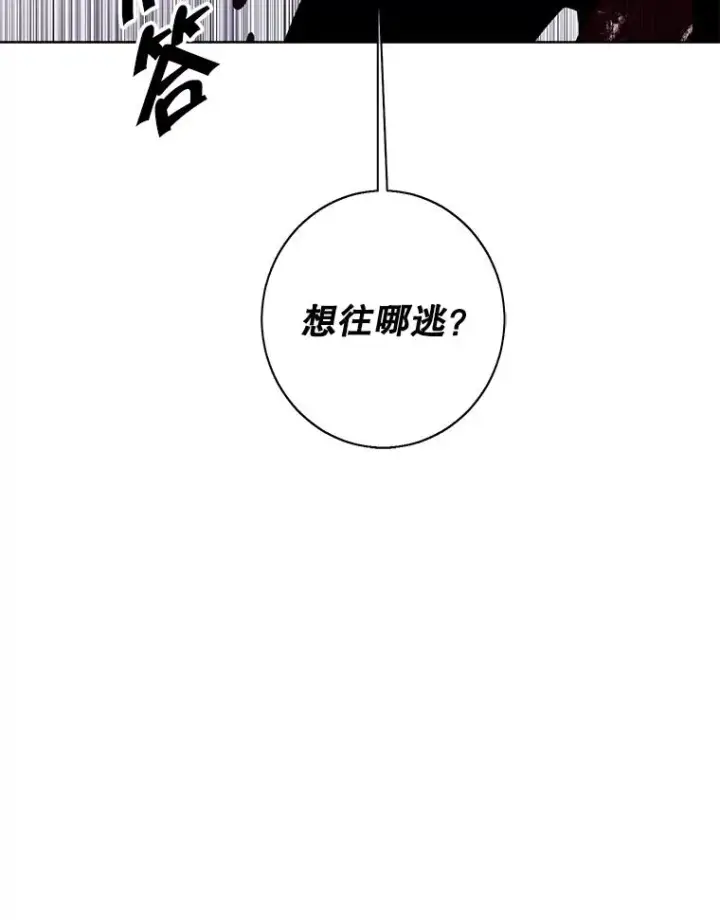 《我在小说里当无赖》128.追杀图71