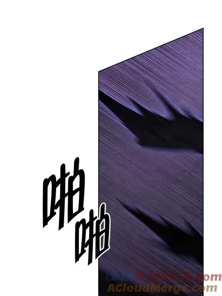 《我在小说里当无赖》132.进攻图13