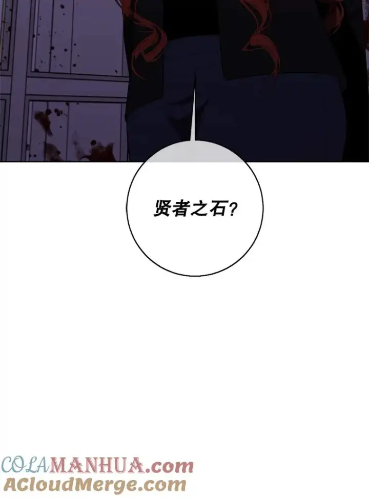《我在小说里当无赖》133.混战图101