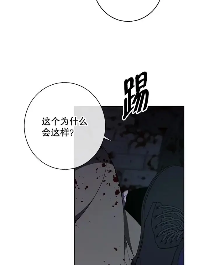 《我在小说里当无赖》137.另一个战场图22