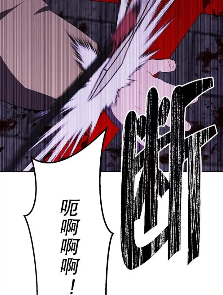 《我在小说里当无赖》137.另一个战场图32