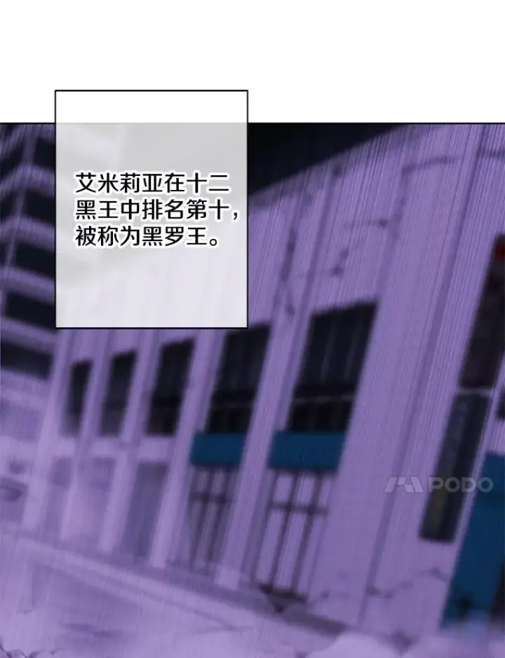 《我在小说里当无赖》142.黑罗王的陨落图45