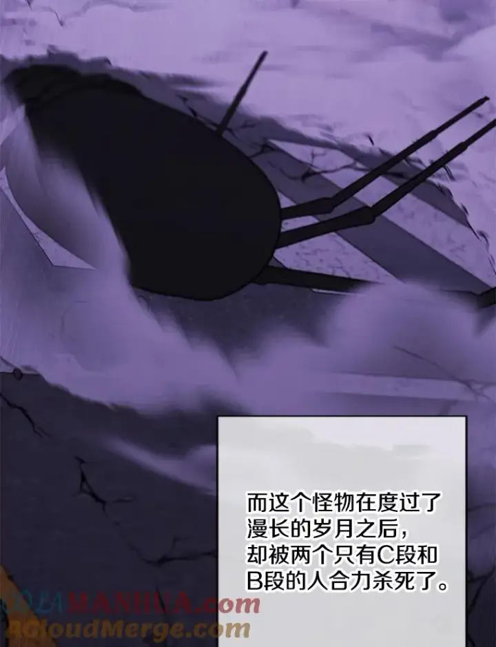 《我在小说里当无赖》142.黑罗王的陨落图46