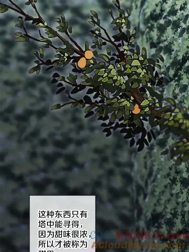 《我在小说里当无赖》149.一层的攻略法图37