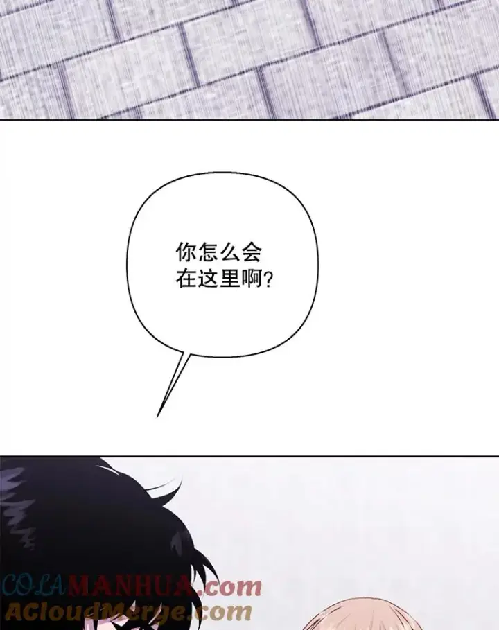 《我在小说里当无赖》159.新的搭档图58