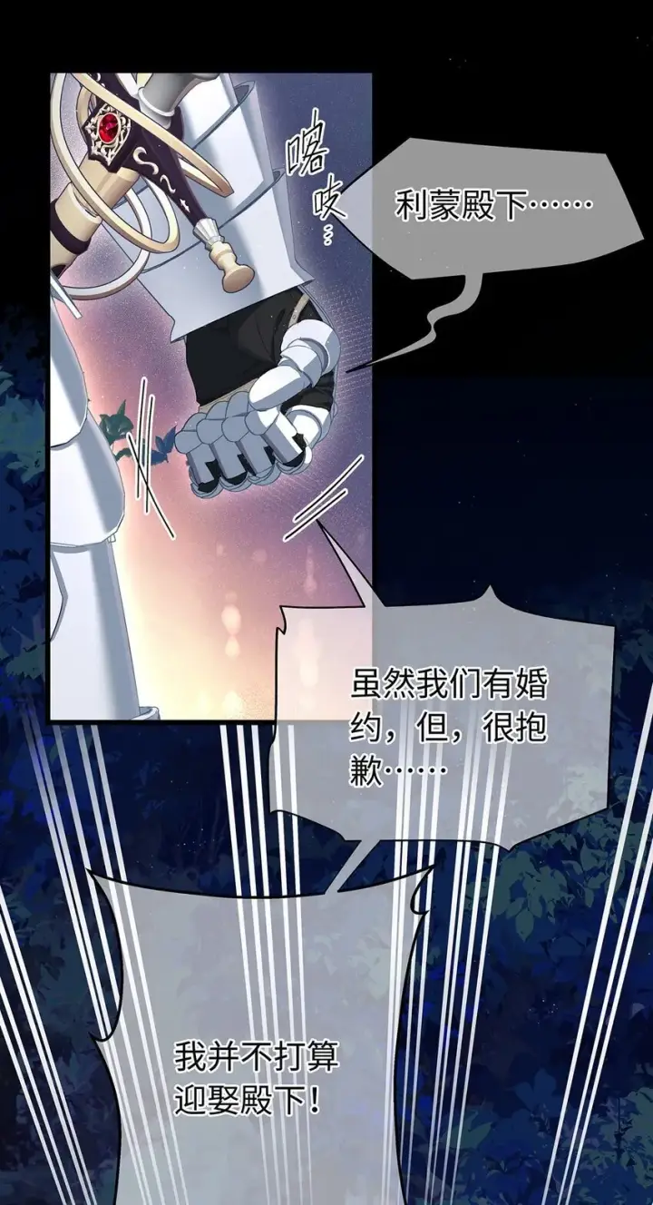 《我重生成为王子殿下的小恶龙》08 “公主”与骑士图29
