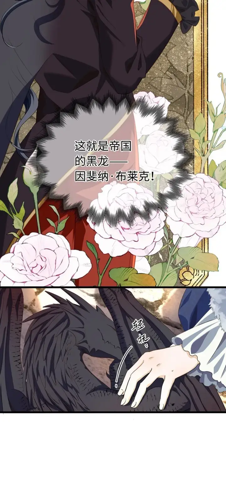 《我重生成为王子殿下的小恶龙》11 龙的信息素图5