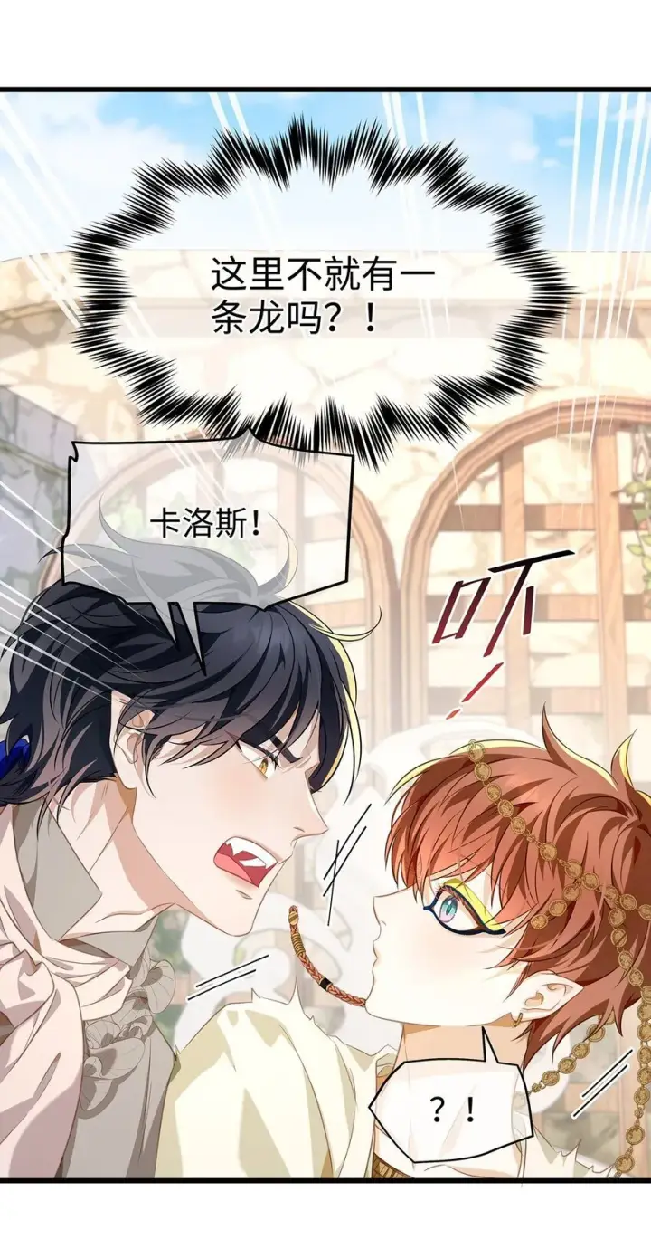 《我重生成为王子殿下的小恶龙》26 龙的交易图19
