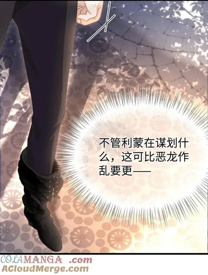 《我重生成为王子殿下的小恶龙》35 真正要欺骗的人图34