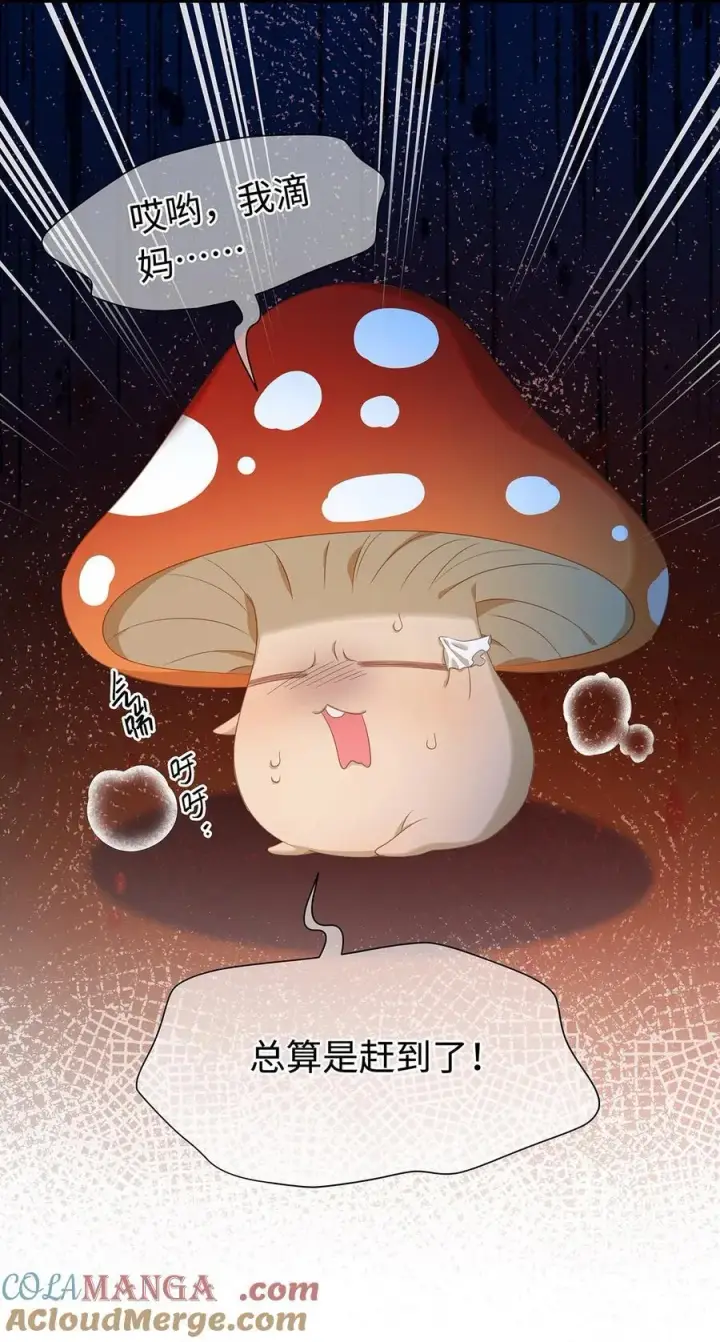 《我重生成为王子殿下的小恶龙》35 真正要欺骗的人图46