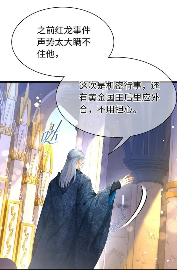 《我重生成为王子殿下的小恶龙》38 宝石国图20