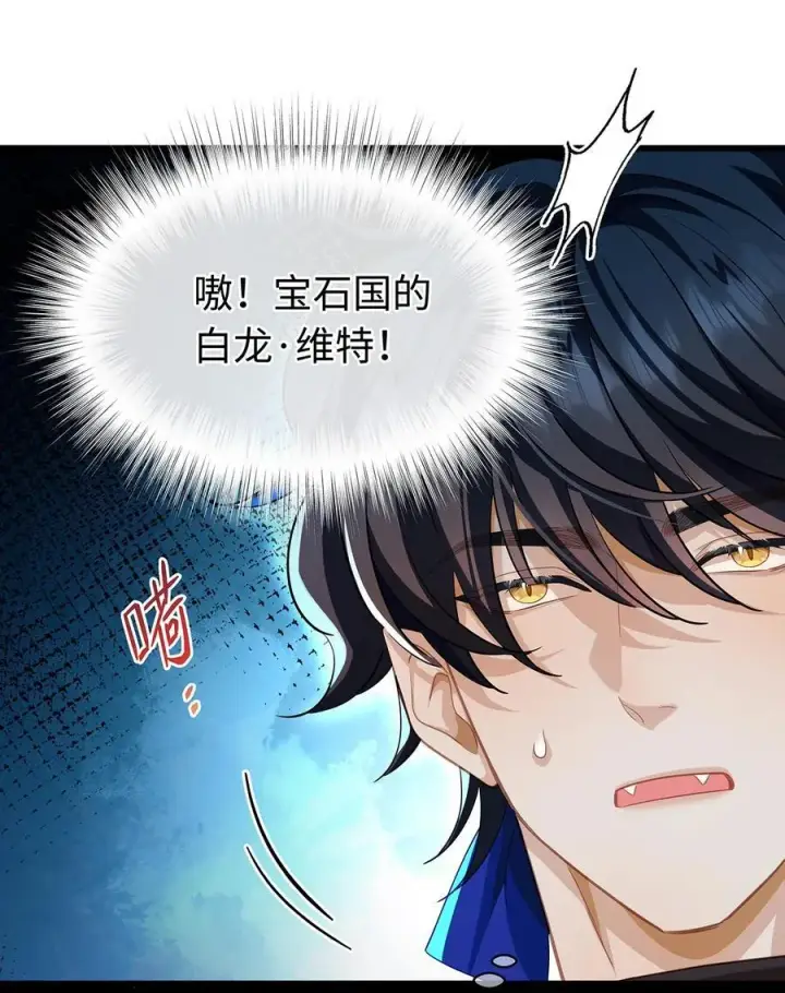 《我重生成为王子殿下的小恶龙》38 宝石国图34