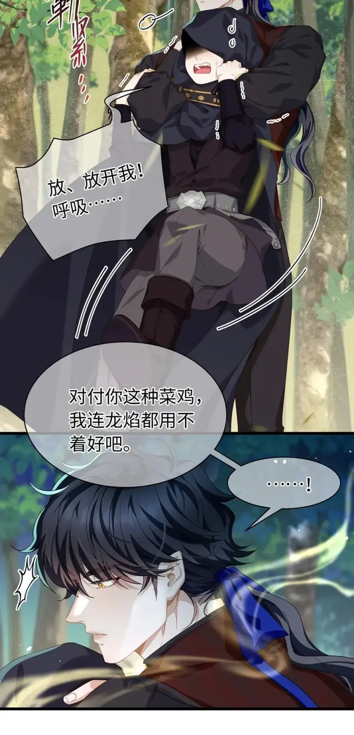 《我重生成为王子殿下的小恶龙》38 宝石国图38