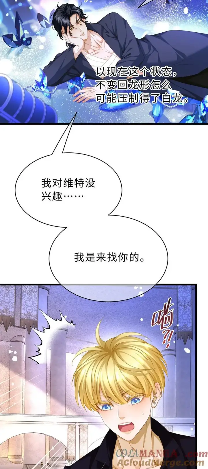 《我重生成为王子殿下的小恶龙》42 白龙的隐藏身份图3